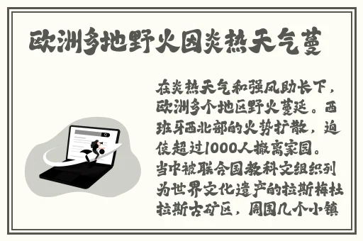 青草青草久热精品视频